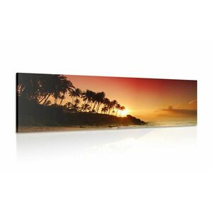Obraz zachód słońca na Sri Lance obraz