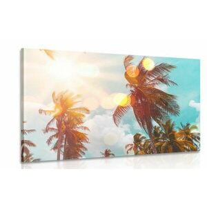 Obraz promienie słońca między palmami obraz