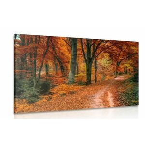 Obraz las jesienią obraz