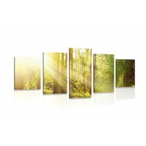 5-częściowy obraz promienie słońca w lesie obraz