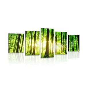5-częściowy obraz bujny zielony las obraz