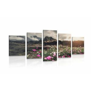 5-częściowy obraz łąka kwitnących kwiatów obraz