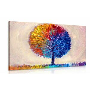 Obraz kolorowe akwarelowe drzewo obraz