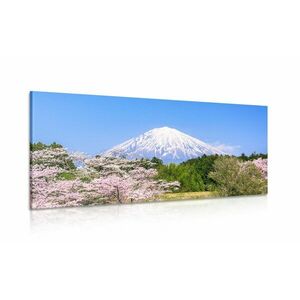Obraz góra Fuji obraz