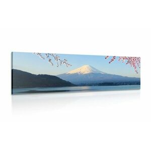 Obraz widok na górę Fuji obraz