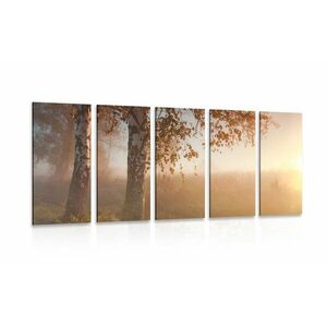 5-częściowy obraz mglisty jesienny las obraz