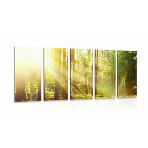 5-częściowy obraz promienie słońca w lesie obraz