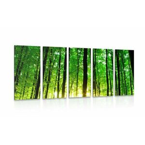 5-częściowy obraz bujny zielony las obraz