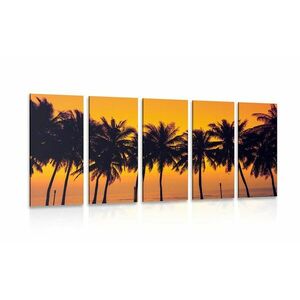 5-częściowy obraz zachód słońca nad palmami obraz