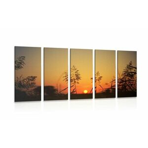 5-częściowy obraz źdźbła trawy o zachodzie słońca obraz