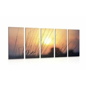 5-częściowy obraz wschód słońca nad łąką obraz