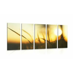 5-częściowy obraz zachodzące słońce w trawie obraz