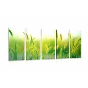5-częściowy obraz źdźbła trawy w kolorze zielonym obraz