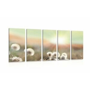 5-częściowy obraz panorama kwitnącej łąki obraz