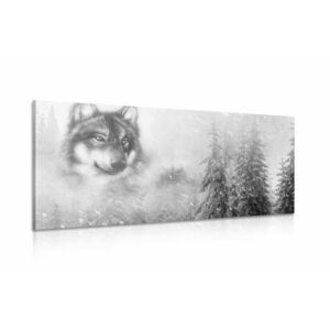 Obraz wilk w zaśnieżonym krajobrazie w wersji czarno-białej obraz