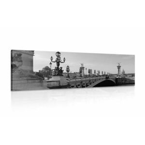 Obraz Most Aleksandra III w Paryżu w wersji czarno-białej obraz