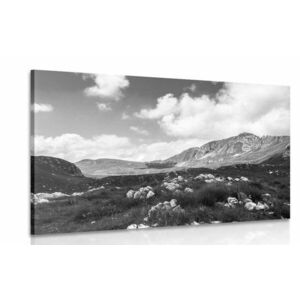 Obraz dolina w Czarnogórze w wersji czarno-białej obraz