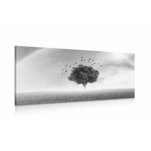 Obraz samotne drzewo na łące w wersji czarno-białej obraz