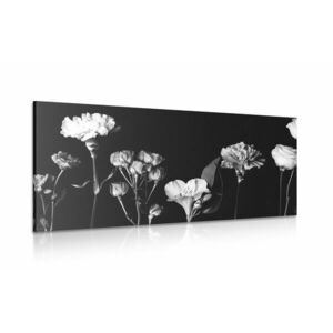 Obraz eleganckie czarno-białe kwiaty obraz