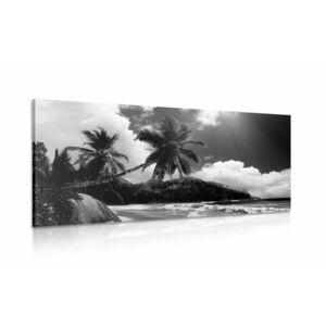Obraz piękna plaża na wyspie Seszele w wersji czarno-białej obraz
