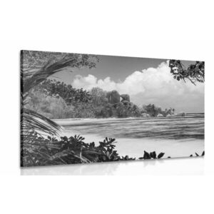 Obraz piękna plaża na wyspie La Digue w wersji czarno-białej obraz