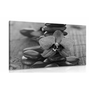 Obraz orchidea i kamienie Zen w wersji czarno-białej obraz