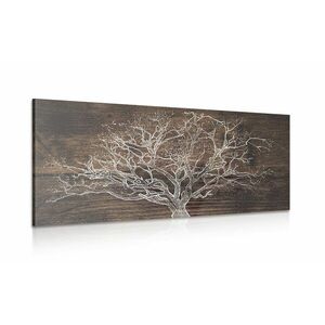 Obraz drzewa na drewnianym tle obraz