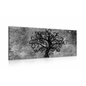 Obraz czarno-białe drzewo życia obraz