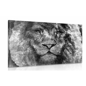 Obraz twarz lwa w wersji czarno-białej obraz