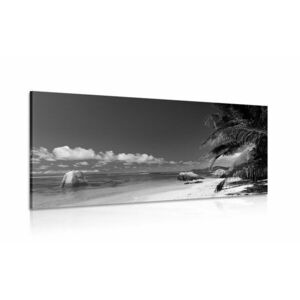Obraz Plaża Anse Source w wersji czarno-białej obraz