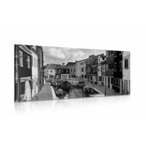 Obraz czarno-białe domy w mieście obraz