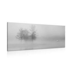 Obraz drzewa we mgle w wersji czarno-białej obraz
