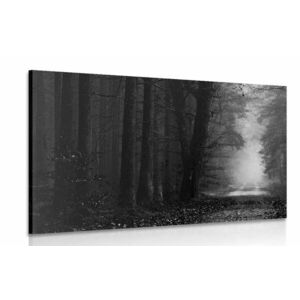 Obraz ścieżka w lesie w wersji czarno-białej obraz