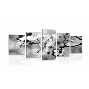 5-częściowy obraz kwiat wiśni w wersji czarno-białej obraz