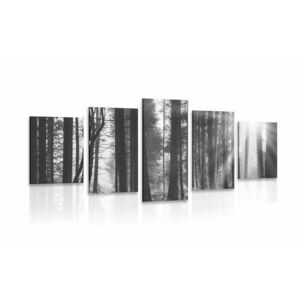 5-częściowy obraz las skąpany w słońcu w wersji czarno-białej obraz