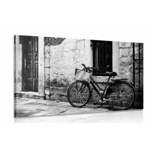 Obraz rower retro w wersji czarno-białej obraz