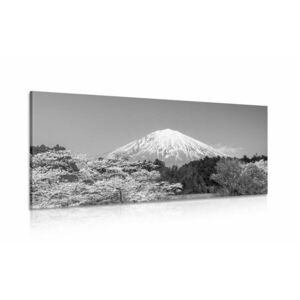 Obraz góra Fuji w wersji czarno-białej obraz