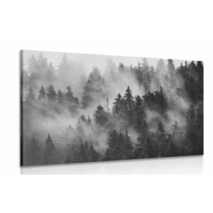 Obraz góry we mgle w wersji czarno-białej obraz