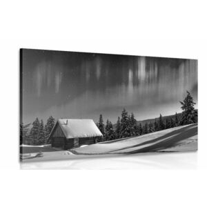 Obraz bajkowy zimowy krajobraz w wersji czarno-białej obraz