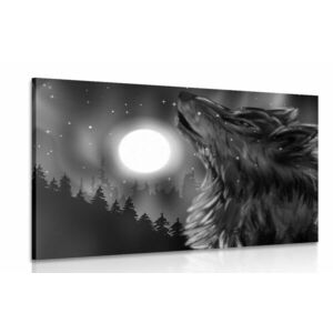 Obraz wilczy księżyc w wersji czarno-białej obraz