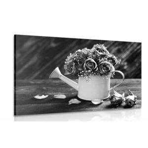 Obraz róże w doniczce w wersji czarno-białej obraz