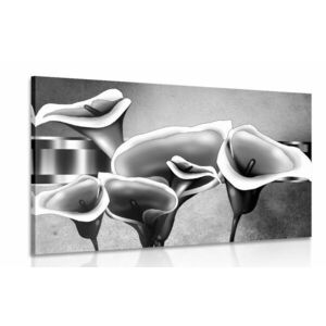 Obraz eleganckie lilie etiopskie w wersji czarno-białej obraz