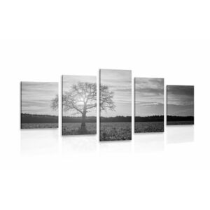 5-częściowy obraz samotnego drzewa w wersji czarno-białej obraz