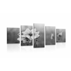 5-częściowy obraz kwitnący kwiat w wersji czarno-białej obraz