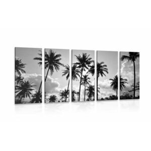 5-częściowy obraz palmy kokosowe na plaży w wersji czarno-białej obraz