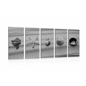 5-częściowy obraz muszle na piaszczystej plaży w wersji czarno-białej obraz