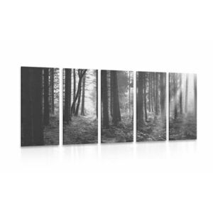 5-częściowy obraz las skąpany w słońcu w wersji czarno-białej obraz