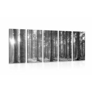 5-częściowy obraz poranek w lesie w wersji czarno-białej obraz