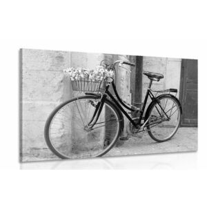 Obraz rustykalny rower w wersji czarno-białej obraz