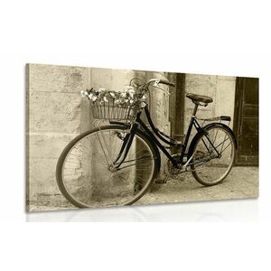 Obraz rustykalny rower w wersji sepia obraz